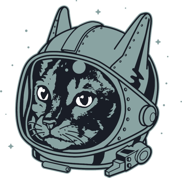 Space Cat